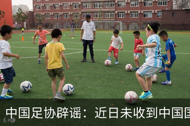 中国足协辟谣：近日未收到中国国家女子足球队主教练安特·米利西奇先生任何辞职的书面或口头信息