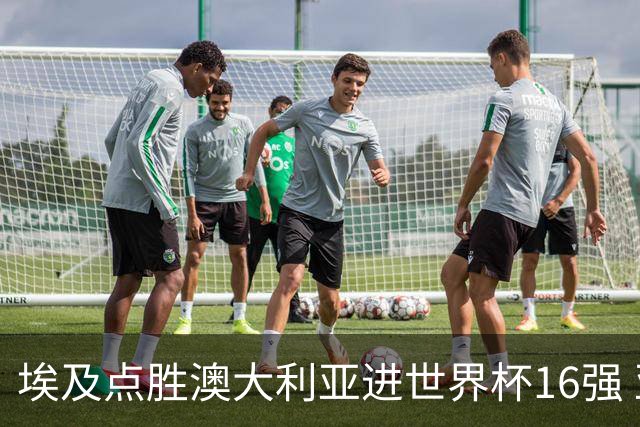 埃及点胜澳大利亚进世界杯16强 亚洲区全军覆没