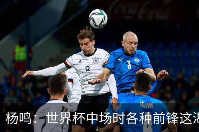 杨鸣：世界杯中场时各种前锋这渴了那饿了全来了 谁能记住后卫呢